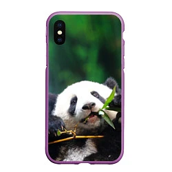 Чехол iPhone XS Max матовый Панда на ветке, цвет: 3D-фиолетовый