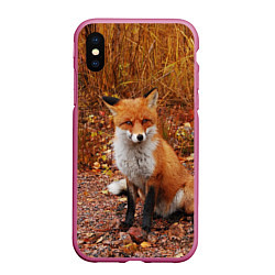 Чехол iPhone XS Max матовый Осенняя лиса, цвет: 3D-малиновый