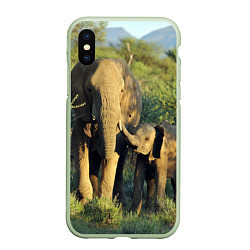 Чехол iPhone XS Max матовый Семья слонов в природе, цвет: 3D-салатовый