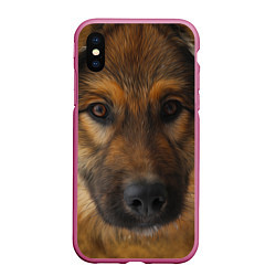 Чехол iPhone XS Max матовый Взгляд собаки, цвет: 3D-малиновый