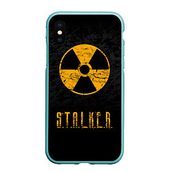 Чехол iPhone XS Max матовый STALKER: Radioactive, цвет: 3D-мятный