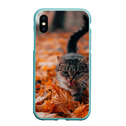 Чехол iPhone XS Max матовый Мяукающий кот осенние листья
