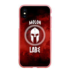 Чехол iPhone XS Max матовый Molon Labe