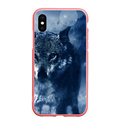 Чехол iPhone XS Max матовый Красивый волк, цвет: 3D-баблгам