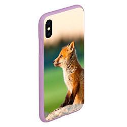 Чехол iPhone XS Max матовый Лиса, цвет: 3D-сиреневый — фото 2