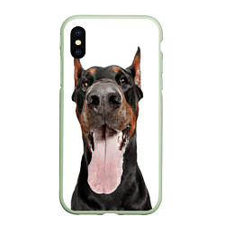 Чехол iPhone XS Max матовый Доберман Doberman, цвет: 3D-салатовый