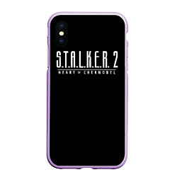 Чехол iPhone XS Max матовый STALKER 2 - Heart of Chernobyl, цвет: 3D-сиреневый