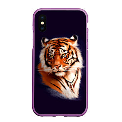 Чехол iPhone XS Max матовый Грозный Тигр Символ 2022 Года Tiger Beast, цвет: 3D-фиолетовый