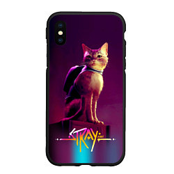 Чехол iPhone XS Max матовый Stray cat кот бродяга, цвет: 3D-черный