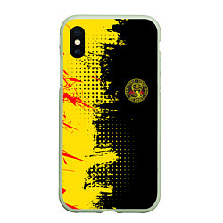 Чехол iPhone XS Max матовый Кобра Кай Cobra Kai, цвет: 3D-салатовый