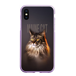 Чехол iPhone XS Max матовый Maine cat, цвет: 3D-сиреневый