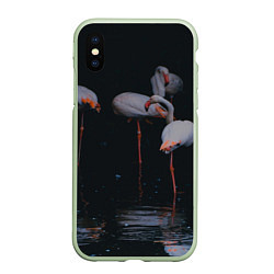 Чехол iPhone XS Max матовый Фламинго - вода