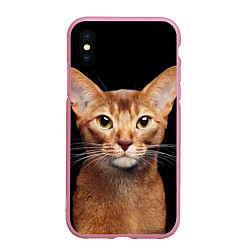 Чехол iPhone XS Max матовый Молодая абиссинская кошечка, цвет: 3D-розовый