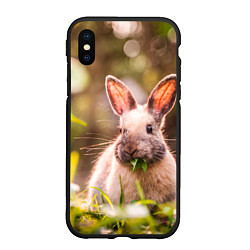 Чехол iPhone XS Max матовый Милый кролик