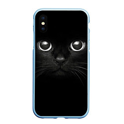 Чехол iPhone XS Max матовый Взгляд чёрного кота