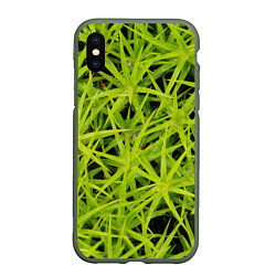 Чехол iPhone XS Max матовый Сфагнум, цвет: 3D-темно-зеленый