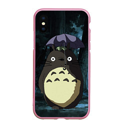 Чехол iPhone XS Max матовый Totoro in rain forest