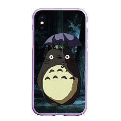 Чехол iPhone XS Max матовый Totoro in rain forest, цвет: 3D-сиреневый