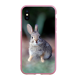 Чехол iPhone XS Max матовый Малыш кролик, цвет: 3D-розовый