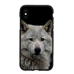 Чехол iPhone XS Max матовый Серый волк на темном фоне, цвет: 3D-черный