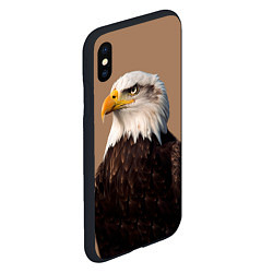 Чехол iPhone XS Max матовый Белоголовый орлан птица, цвет: 3D-черный — фото 2