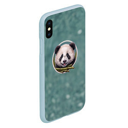 Чехол iPhone XS Max матовый Милая мордочка панды с бамбуком, цвет: 3D-голубой — фото 2