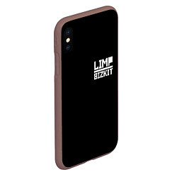 Чехол iPhone XS Max матовый Lim Bizkit logo, цвет: 3D-коричневый — фото 2