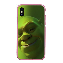 Чехол iPhone XS Max матовый Лицо Шрека крупно, цвет: 3D-розовый