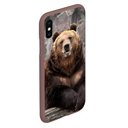 Чехол iPhone XS Max матовый Русский медведь, цвет: 3D-коричневый — фото 2