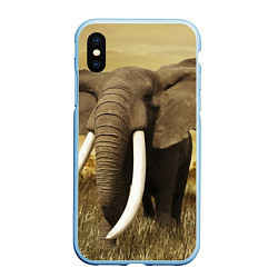 Чехол iPhone XS Max матовый Могучий слон, цвет: 3D-голубой
