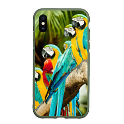 Чехол iPhone XS Max матовый Попугаи на ветке, цвет: 3D-темно-зеленый
