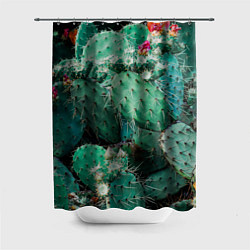 Шторка для душа Кактусы с цветами реализм, цвет: 3D-принт