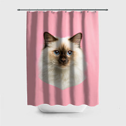 Шторка для душа Пушистый кот, цвет: 3D-принт