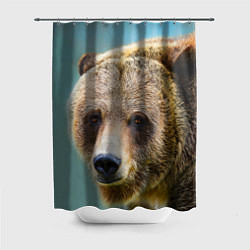 Шторка для ванной Русский бурый медведь
