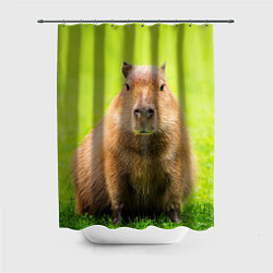 Шторка для ванной Capybara on green grass