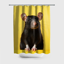 Шторка для душа Крыса черная, цвет: 3D-принт