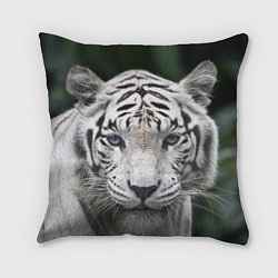 Подушка квадратная Белый тигр, цвет: 3D-принт