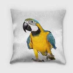 Подушка квадратная Попугай ара, цвет: 3D-принт