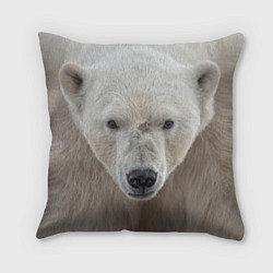 Подушка квадратная Белый медведь, цвет: 3D-принт