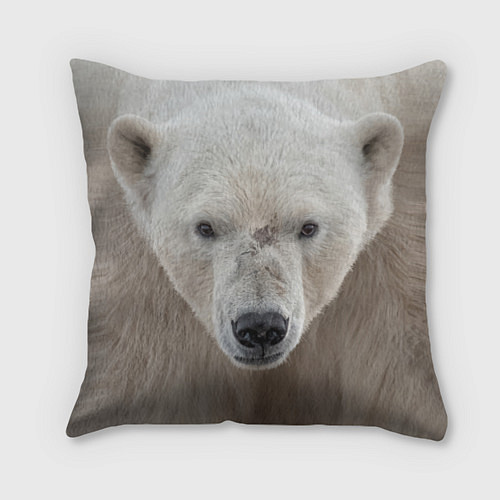 Подушка квадратная Белый медведь / 3D-принт – фото 1