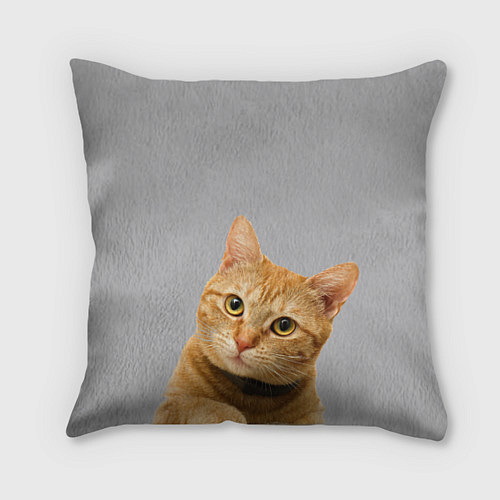 Подушка квадратная Рыжий котик / 3D-принт – фото 1