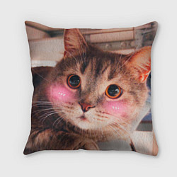 Подушка квадратная Котя -Котофей, цвет: 3D-принт