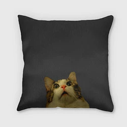 Подушка квадратная Коте смотрит вверх, цвет: 3D-принт