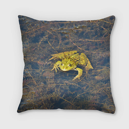 Подушка квадратная Лягушка / 3D-принт – фото 1