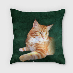Подушка квадратная Мейн кун рыжий кот, цвет: 3D-принт