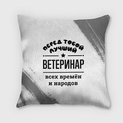 Подушка квадратная Лучший ветеринар - всех времён и народов