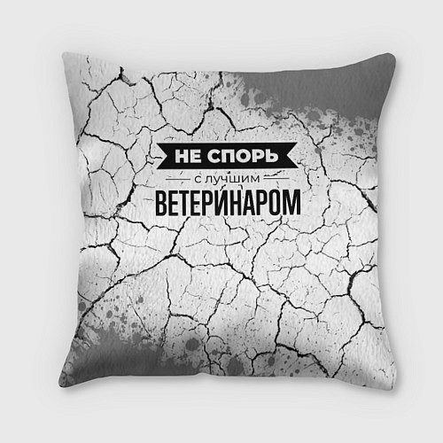 Подушка квадратная Не спорь с лучшим ветеринаром - на светлом фоне / 3D-принт – фото 1