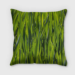 Подушка квадратная Ландшафт зелень, цвет: 3D-принт