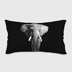 Подушка-антистресс Старый слон, цвет: 3D-принт