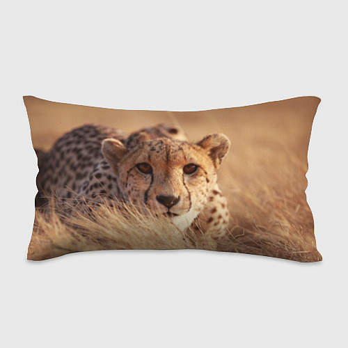 Подушка-антистресс Гепард в траве / 3D-принт – фото 1